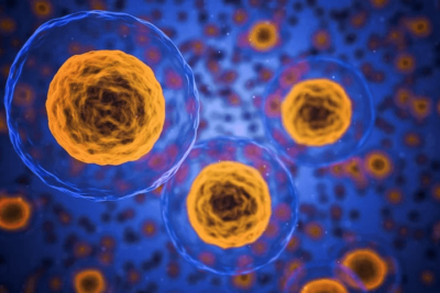 Stammzellenspende – Häufig gestellte Fragen